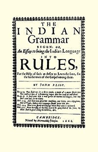 Indian Grammar Begun