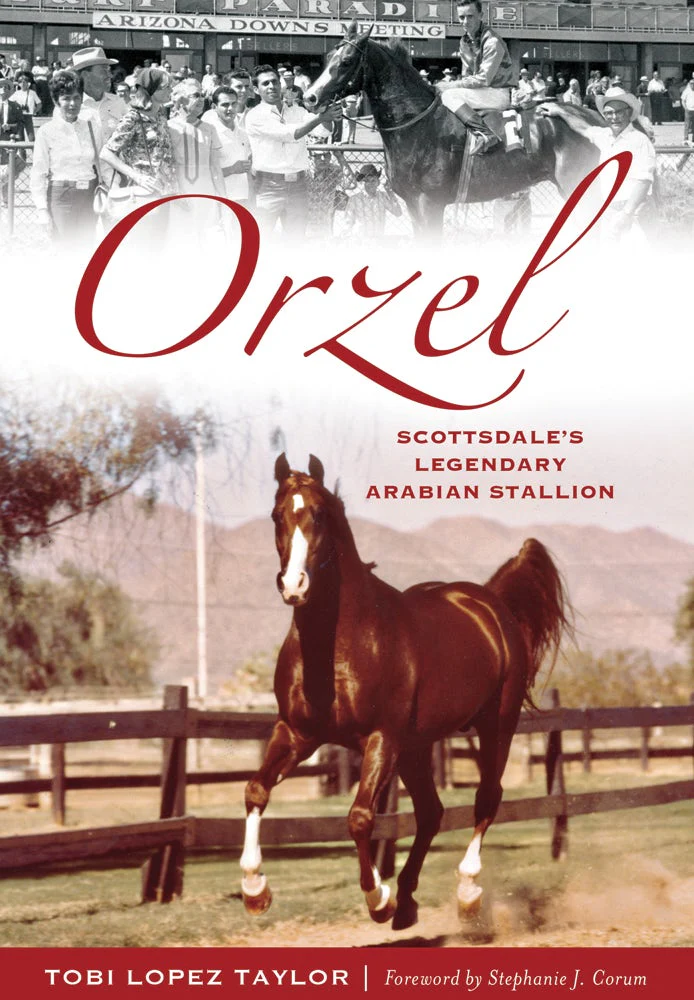 Orzel