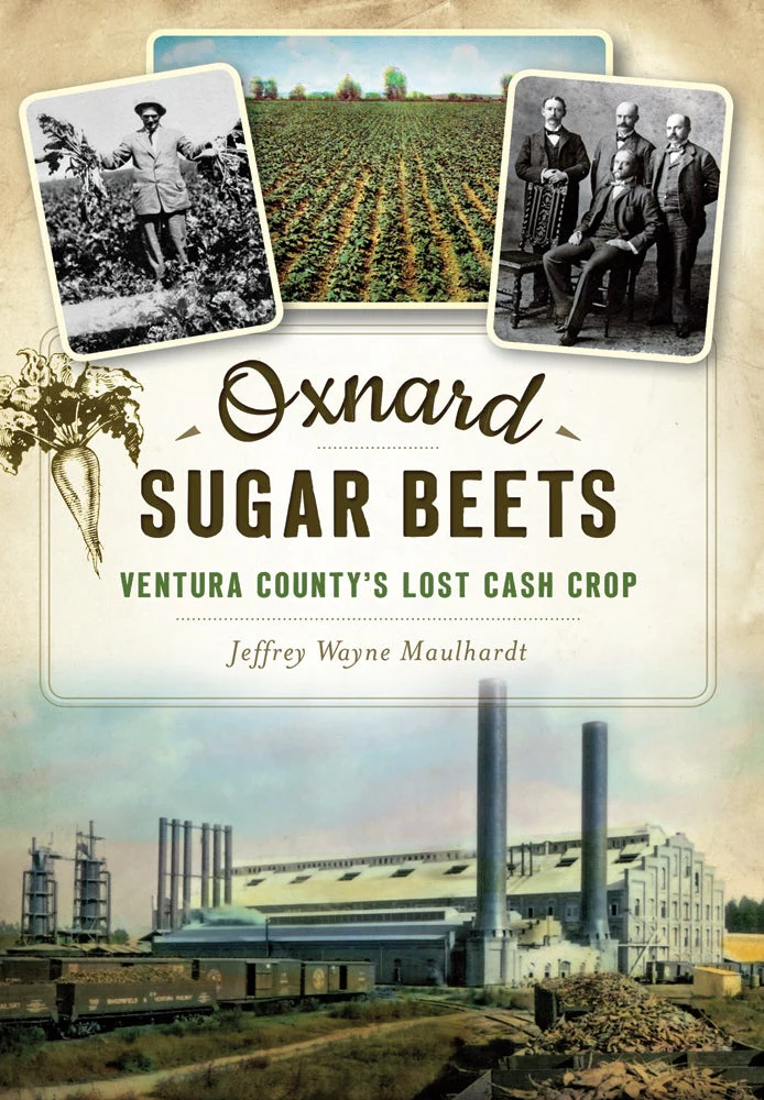 Oxnard Sugar Beets