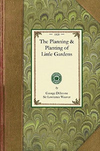 Planning and Planting of Little Garden