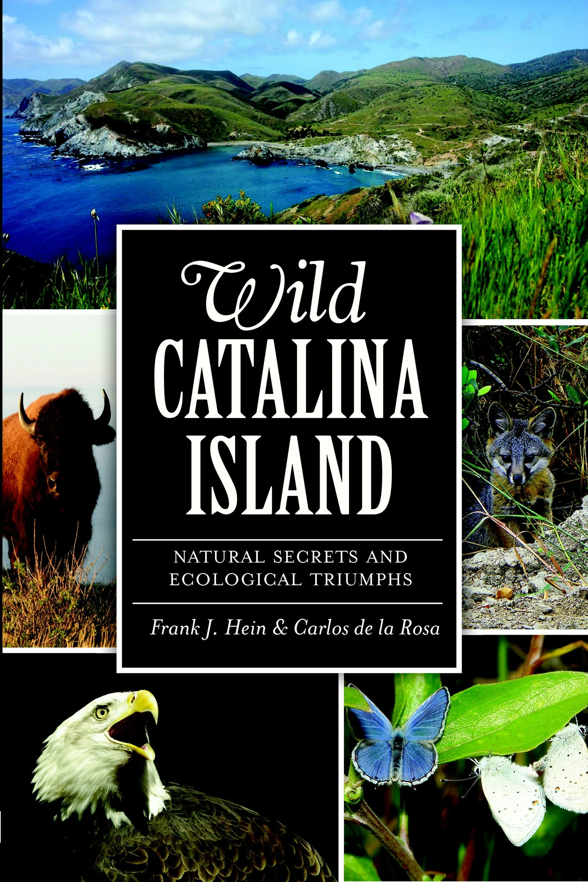 Wild Catalina Island